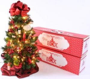 tree_in_a_box
